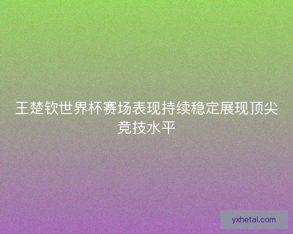王楚钦世界杯赛场表现持续稳定展现顶尖竞技水平
